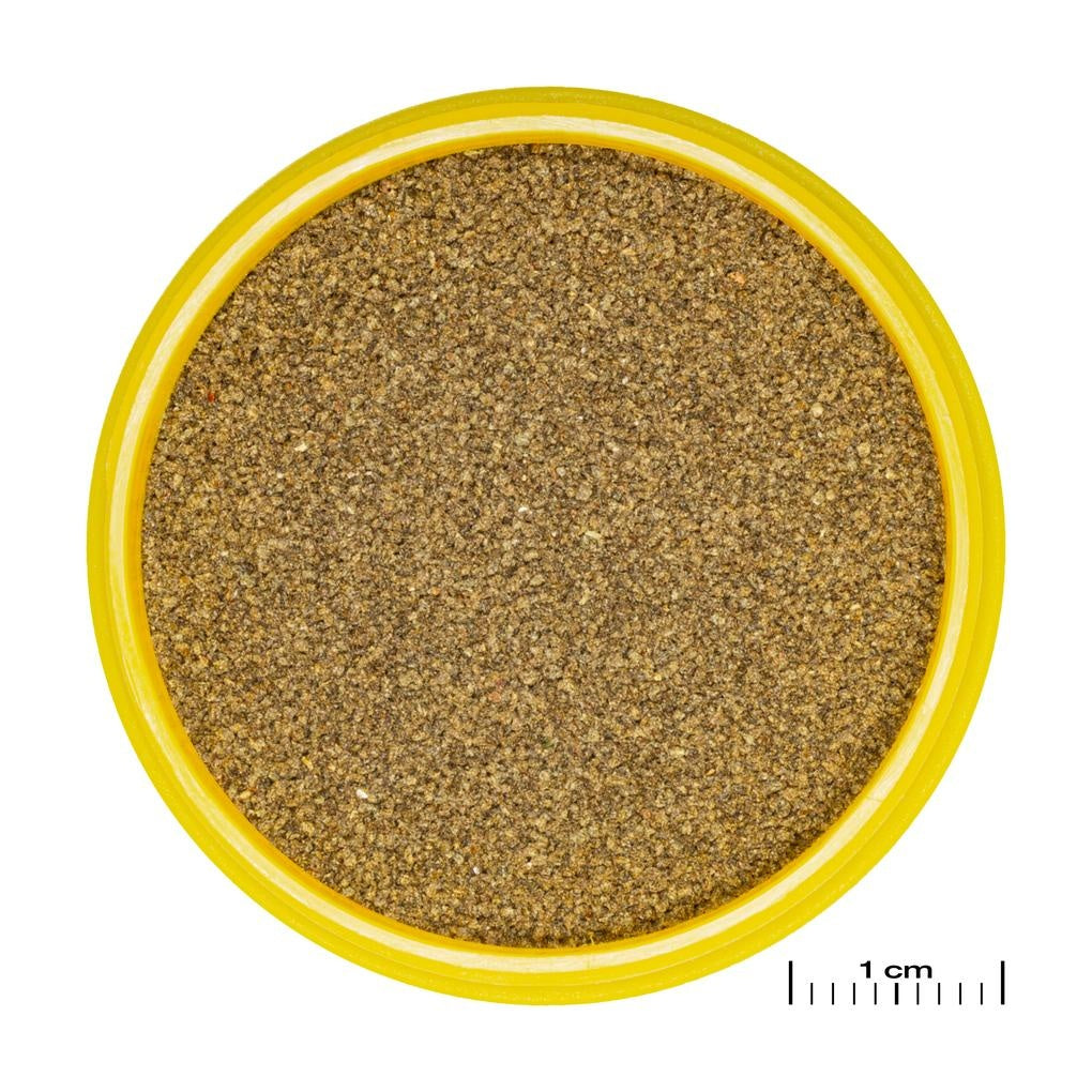 JBL פרונובו נאון מגורען קליק XXS 100ML