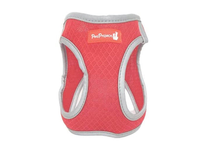 רתמת QUICK FIT XXS- PETSPROJECT