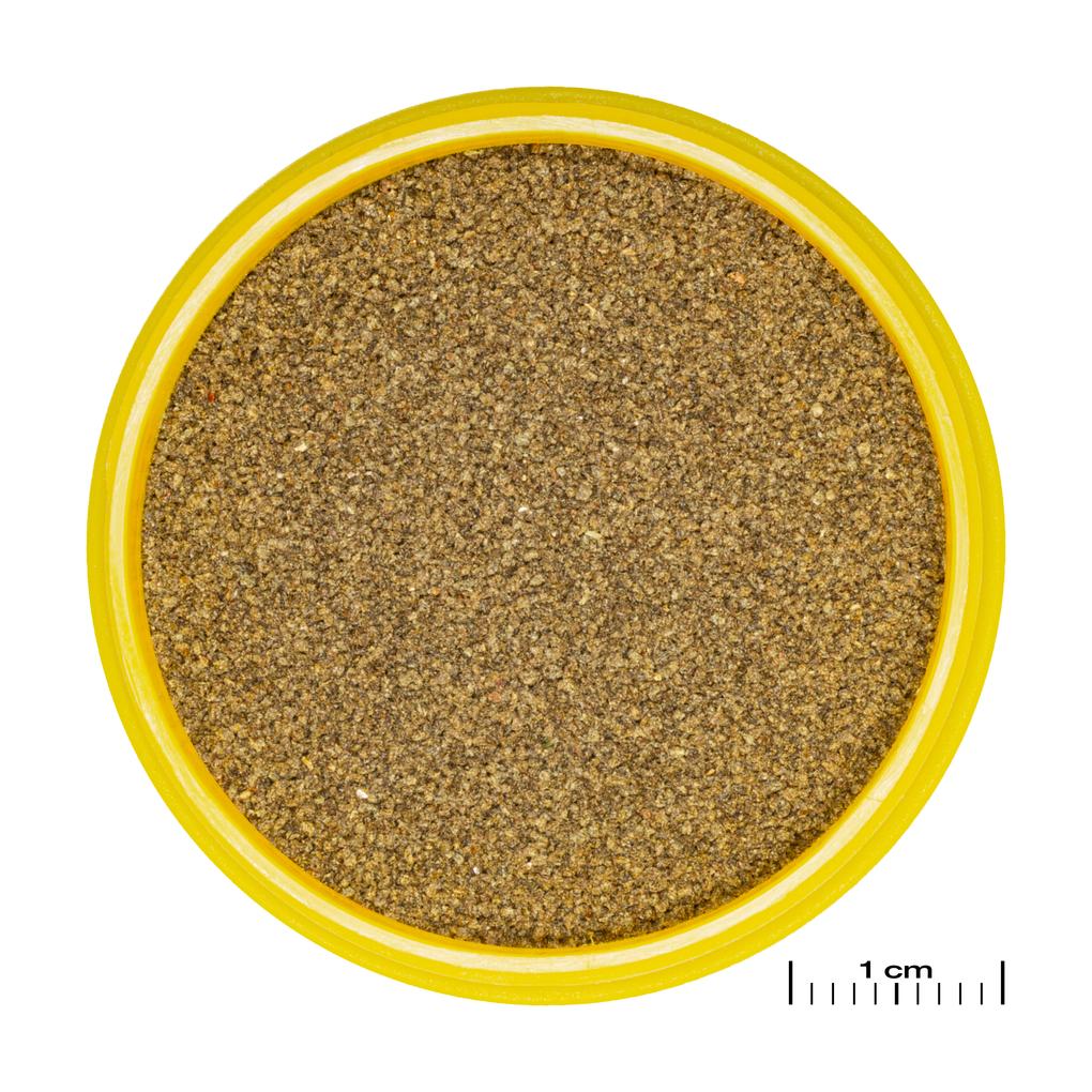 JBL פרונובו נאון מגורען קליק XXS 100ML