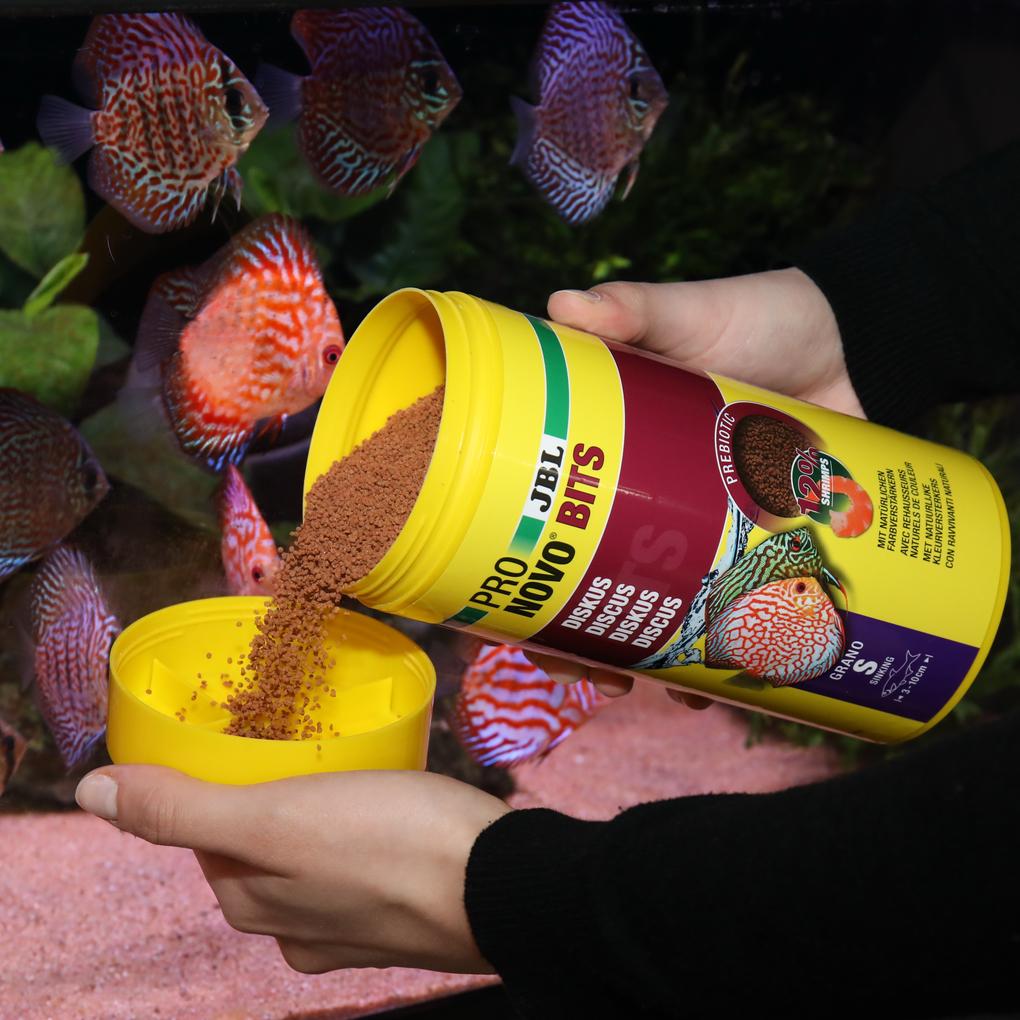 JBL פרונובו ביטס מגורען S 250ML