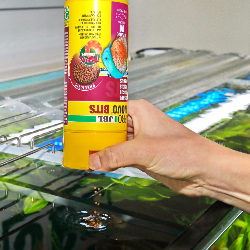 JBL פרונובו ביטס מגורען M 250ML