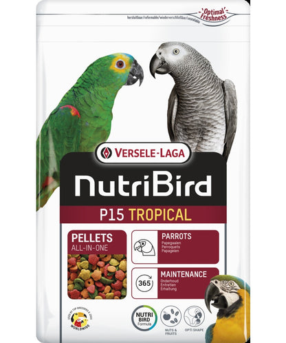 ורסלה לגה P15 תוכי גדול טרופי 1 קג