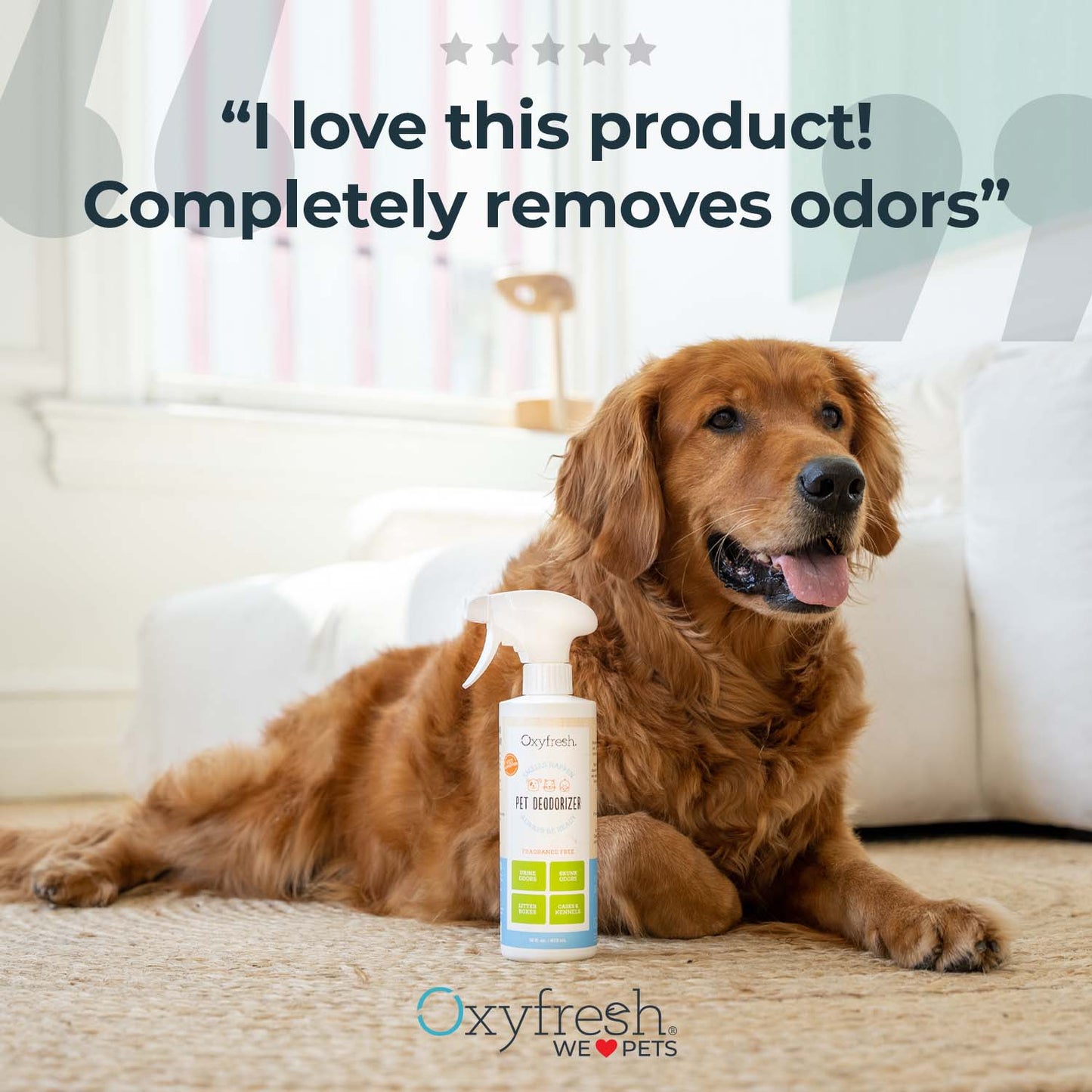 תרסיס מנטרל ריחות 473מל Oxyfresh