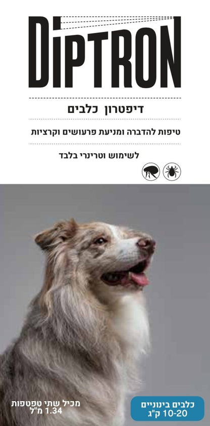 דיפטרון כלבים בינוניים