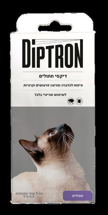 דיפטרון חתולים