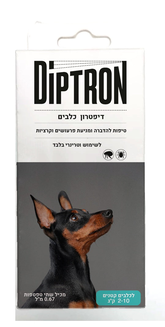 דיפטרון כלבים קטנים