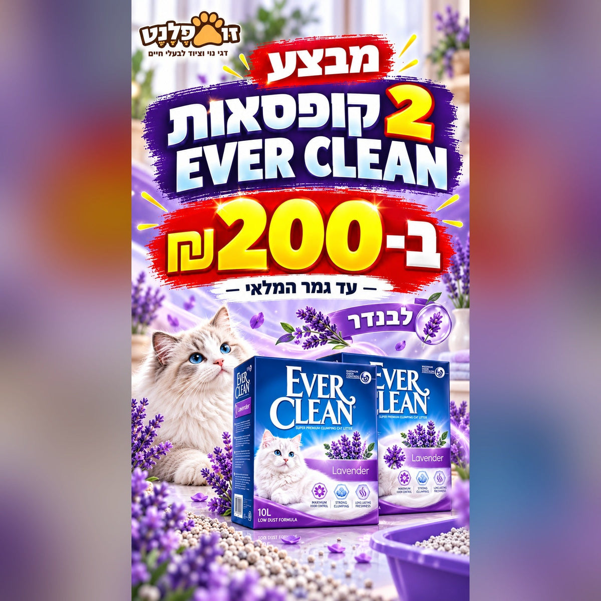Ever Clean לבנדר זוג אריזות ב-200 ₪
